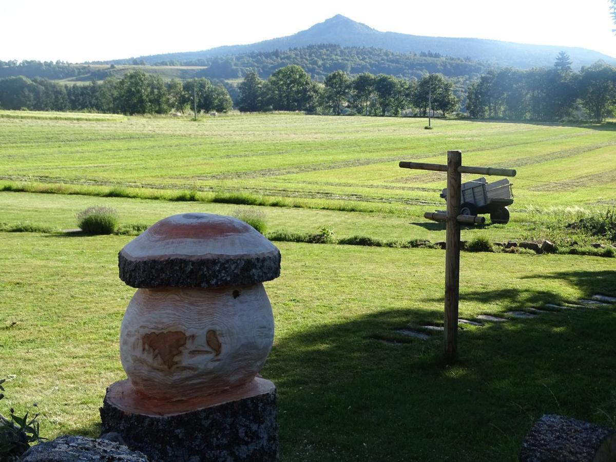 Bed and Breakfast La Ferme De Madelonnet Saint-Jeures Exterior foto
