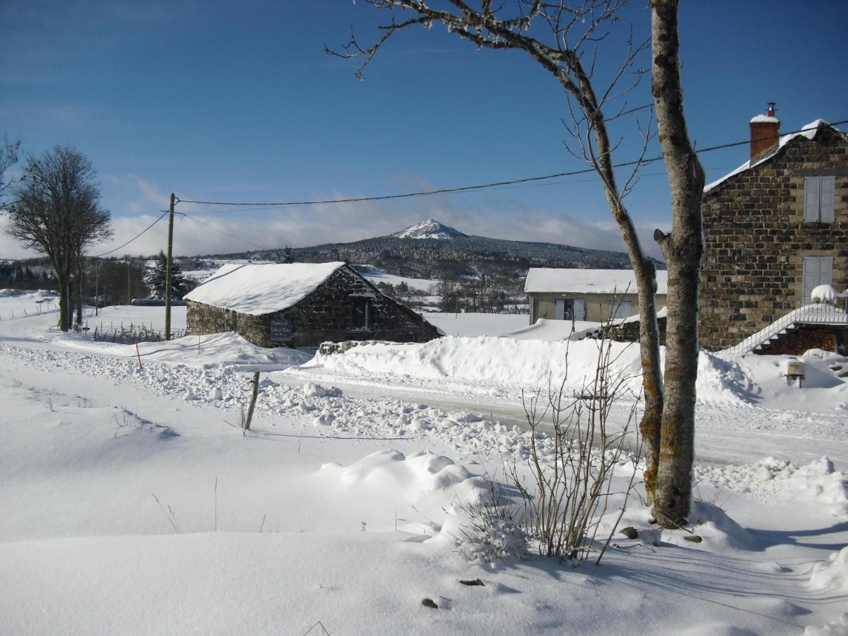 Bed and Breakfast La Ferme De Madelonnet Saint-Jeures Exterior foto