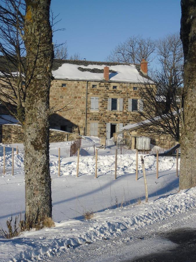 Bed and Breakfast La Ferme De Madelonnet Saint-Jeures Exterior foto