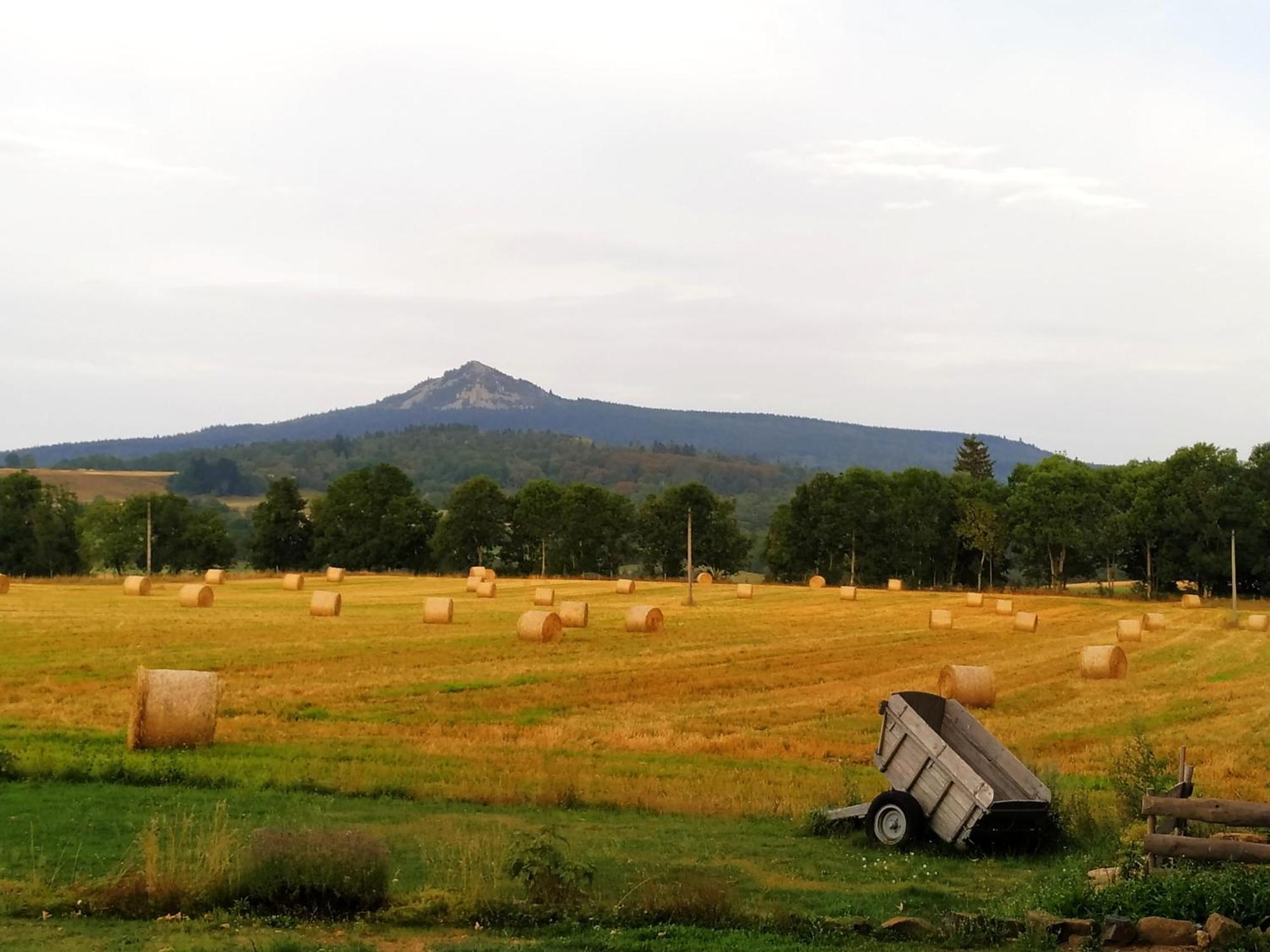 Bed and Breakfast La Ferme De Madelonnet Saint-Jeures Exterior foto